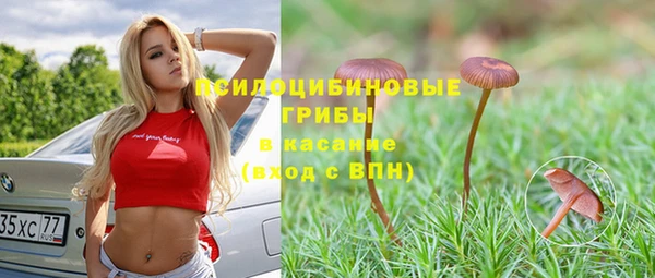 кристаллы Бородино